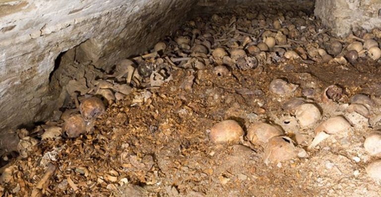 Hotový poklad pod žilinskou katedrálou. Objavili kryptu s ľudskými kostrami