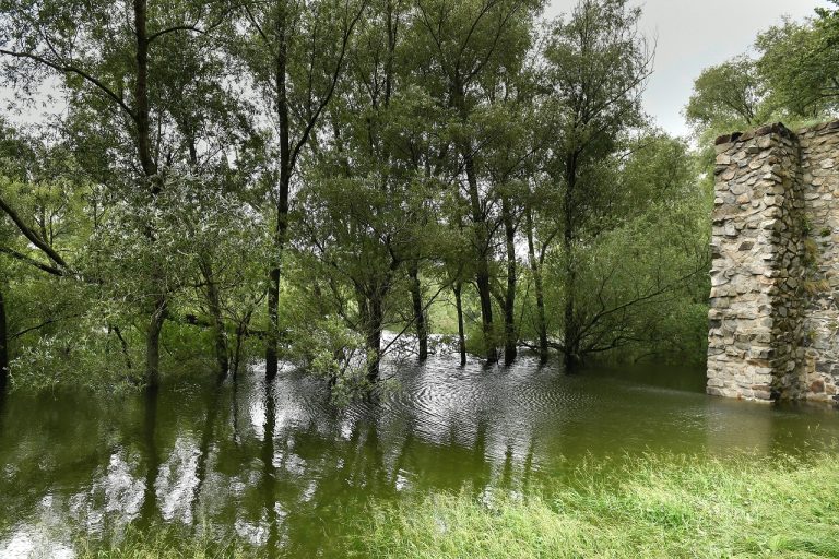 Vysoká hladina rieky Dunaj pod hradom Devín