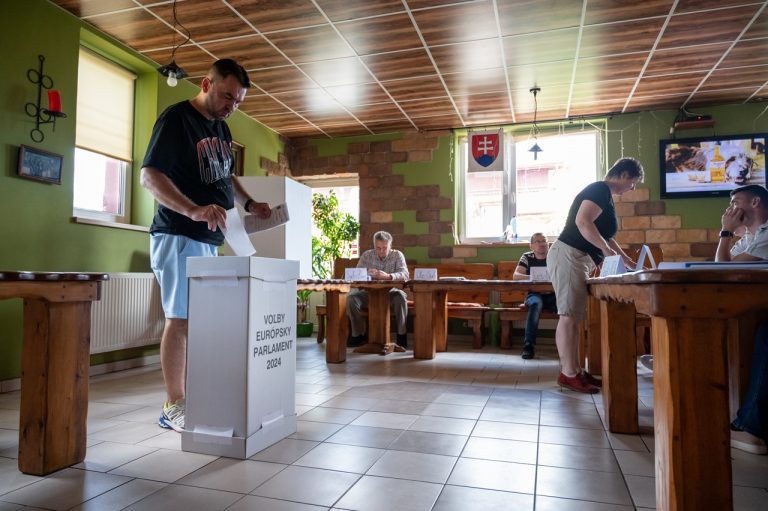 Voľby do Európskeho parlamentu