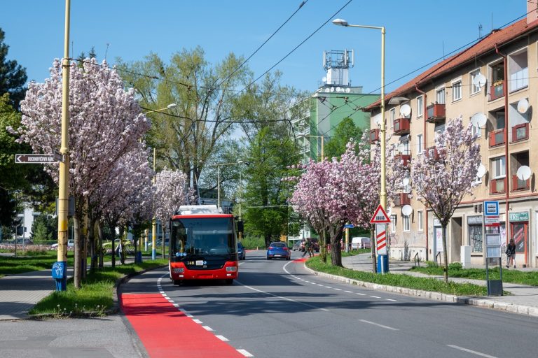 Zeleň v Prešove