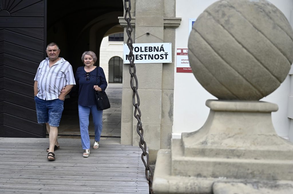 Voľby do Európskeho parlamentu