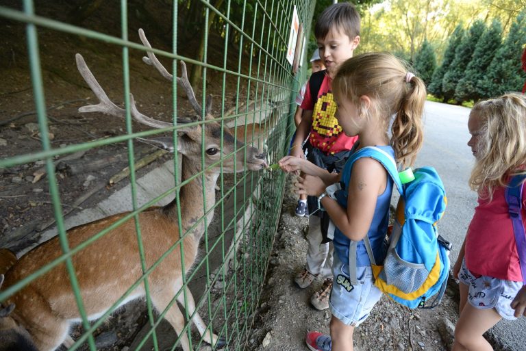 Prímestský letný tábor v ZOO Košice