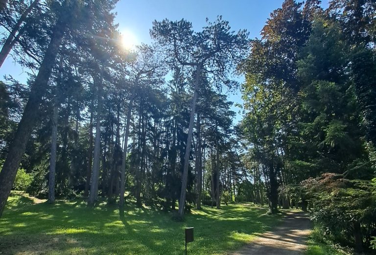 park Topoľčianky stromy