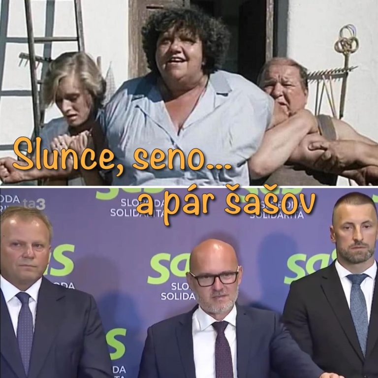 Letná komédia “Slunce, seno a pár šašov“