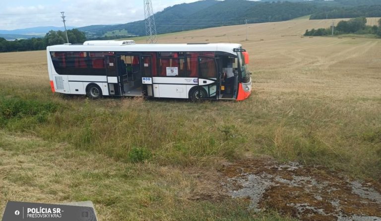 nehoda autobus Mestisko