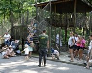 Zoo Bratislava vlky