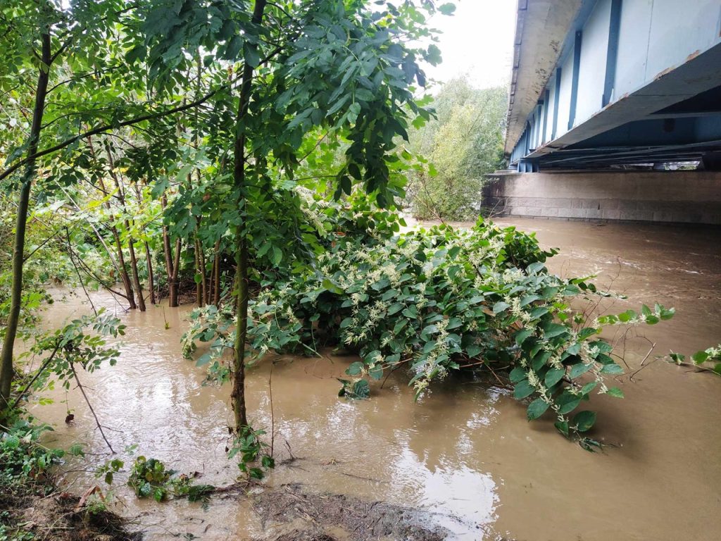 rozvodnená rieka Kysuca