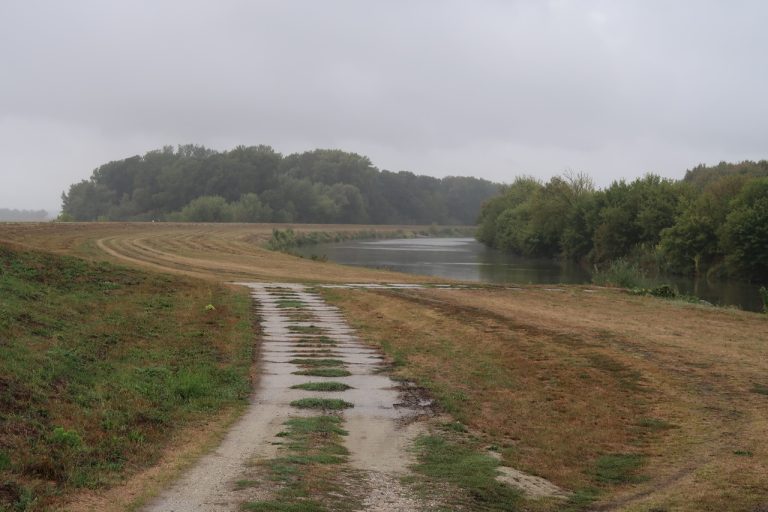 Rieka Morava pri obci Kopčany