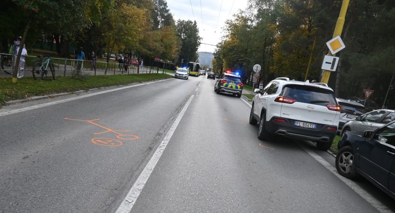 Vodič zrazil chodca na priechode