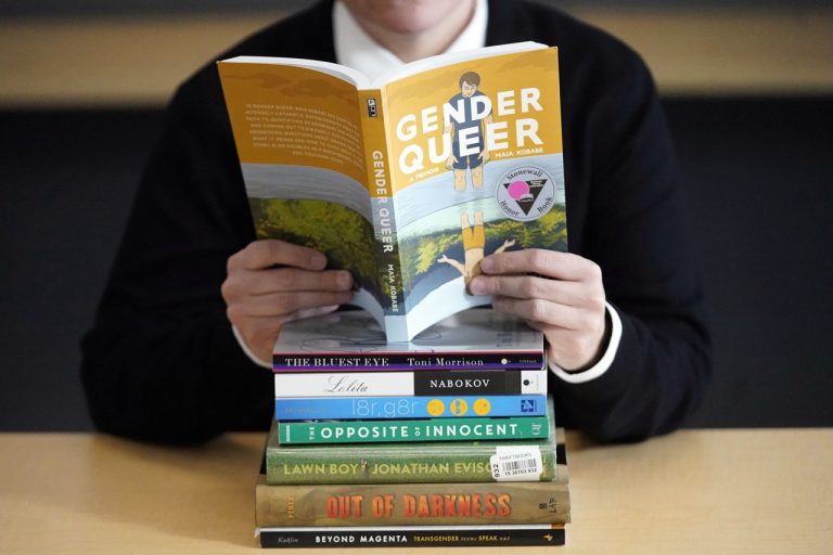 Challenged Books knihy "Gender Queer"