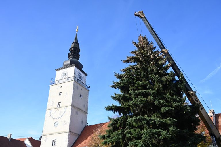 Osadenie vianočného stromčeka na Trojičnom námestí v Trnave