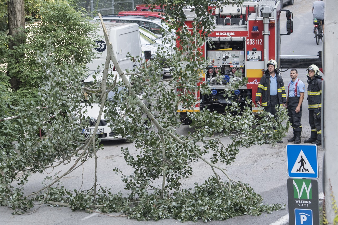 hasiči spadnutý strom