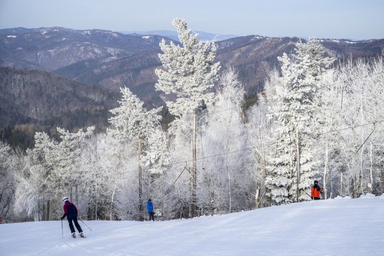 Drienica lyžovačka príroda