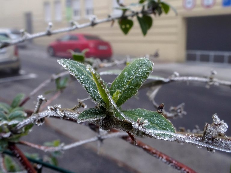 Bratislava počasie hmla námraza