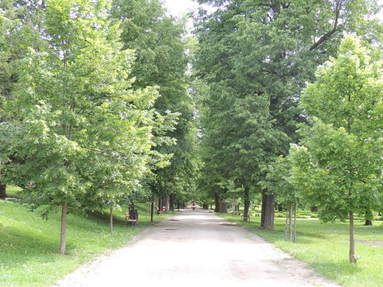 Park Štefana Moysesa Žiar nad Hronom