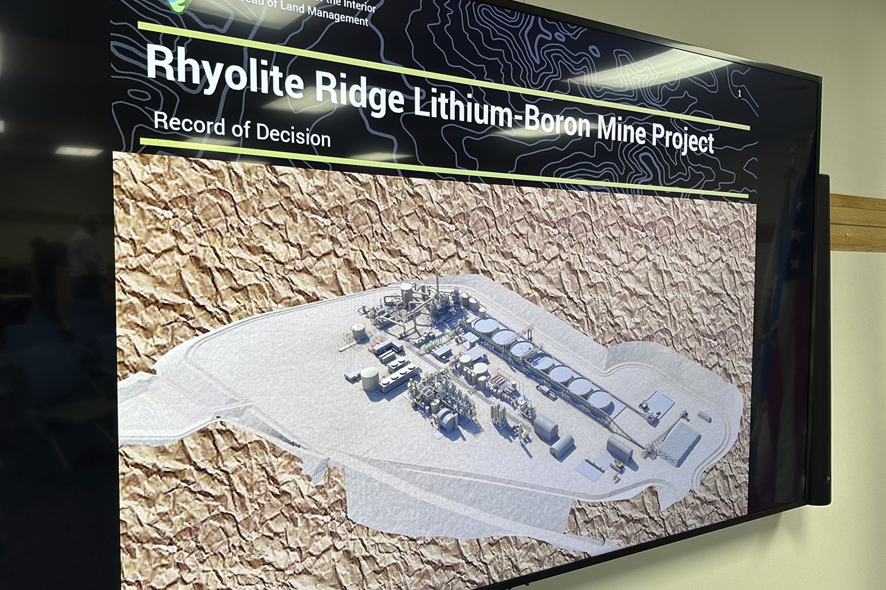 lítium nerastné suroviny Lithium Mine Endangered Wildflower