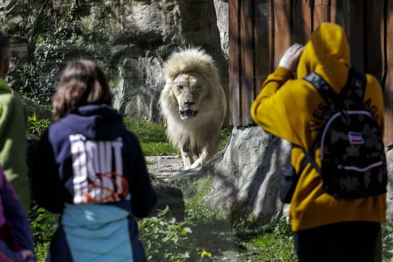 Bratislava ZOO